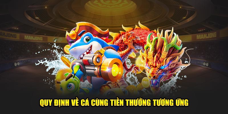 Quy định về bắn cá Bingo