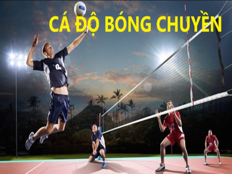 Cá Độ Bóng Chuyền Bet88