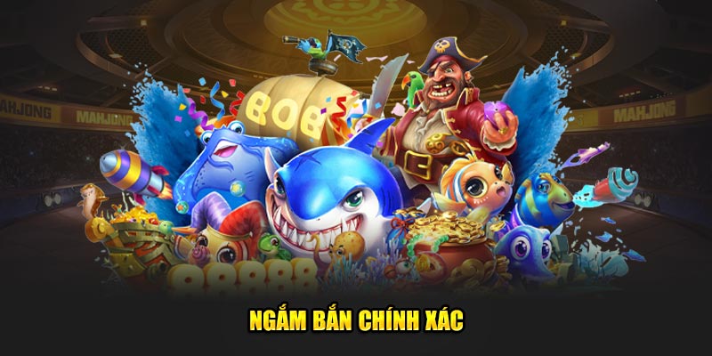 Ngắm bắn chính xác