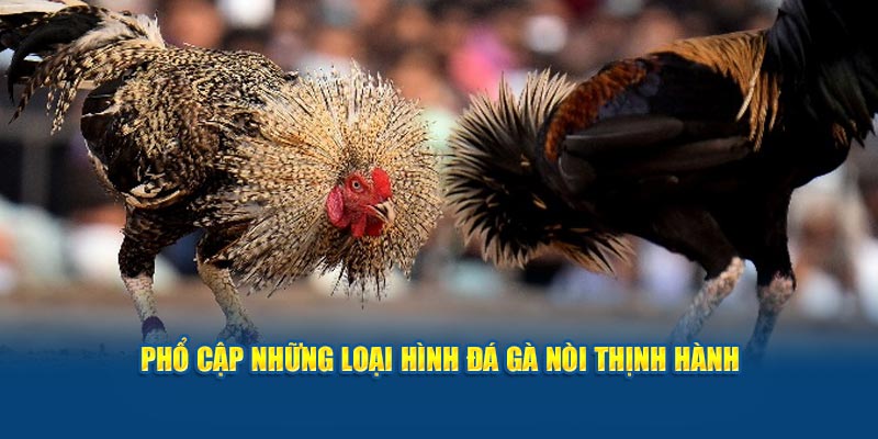 Phổ cập những loại hình đá gà nòi thịnh hành